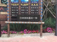 -哈尔滨波塞冬海底世界