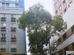 -深井陈记烧鹅酒家(新填地街店)