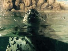 -福州罗源湾海洋世界旅游区