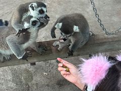 -水上乐园·欢乐世界