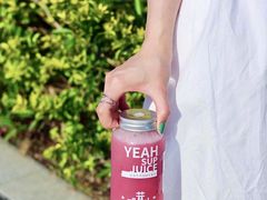 -野萃山·潮汕厚果汁(十亩地店)