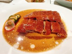 -南海渔村(珠江新城店)