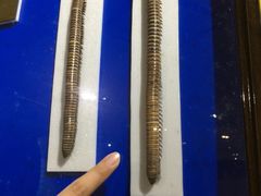 -上海昆虫博物馆