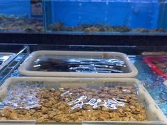 -钱山海鲜大排档