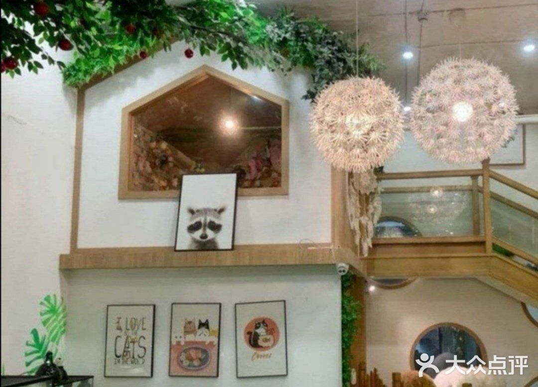 六一溜娃圣地|和小动物一起玩耍吧🌈