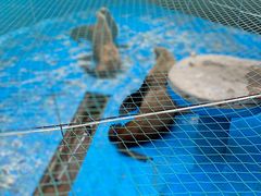 -海合安青岛极地海洋公园