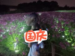 -秀丽东方