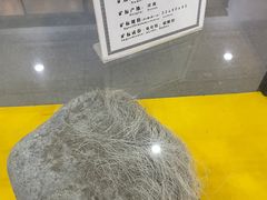 -游龙石文化科普馆