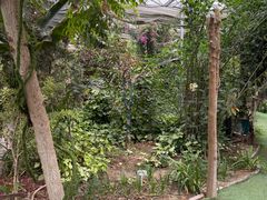 -呀路古热带植物园