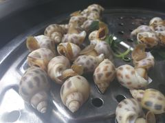 花螺-海大大蒸汽海鲜餐厅·粤菜·特色小炒(欢乐颂店)
