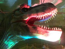 -恐龙探索乐园(磁器口店)