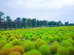 -映月湖中央公园