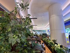 -同仁四季椰子鸡(宝安壹方城店)