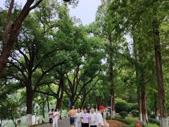 -食膳公园包子铺(烈士公园店)