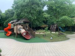 -杭州龙井幼儿园