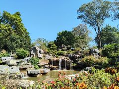 -东莞植物园