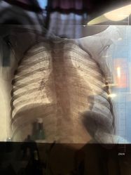 -大连市妇女儿童医疗中心(希望广场儿童院区)