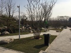 -思念果岭悦温泉