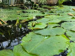 -国家植物园南园