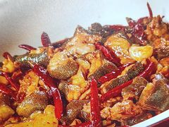 -印象鲵宴·张家界地标美食名片(溪布街店)