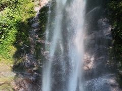 -莫里热带雨林景区