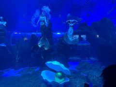 -石家庄极地海洋世界