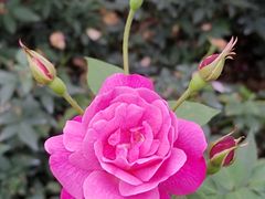 -人民公园(罗湖区)