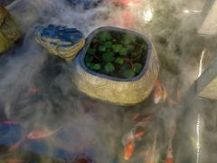 -三只耳火锅(宽窄巷子店)