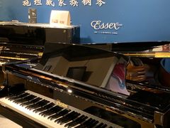 -雅马哈钢琴专卖店盛世雅歌琴行·电钢琴城·钢琴培训(翠微路店)