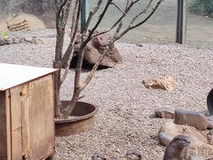-昆明动物园