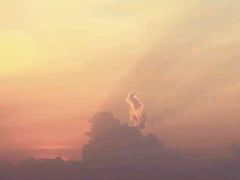 -珊瑚岛