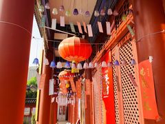 -天龙宝严素食馆(大兴善寺店)