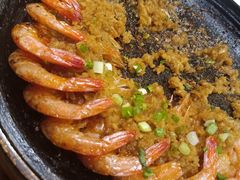 -邵年鸽(杨庄店)