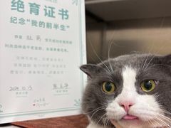 -安安宠医·普外科·内科·心超(佛山同济分院)