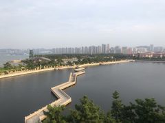 -莫内艺术岛海景咖啡