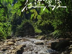 -中国科学院西双版纳热带植物园