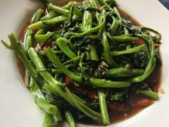 空心菜-Dash Teak House