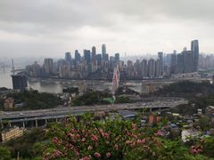 -南山植物园