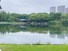 -新洲生态园
