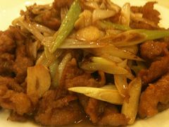 葱爆羊肉-燕春楼(海河华鼎店)