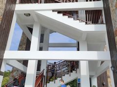-大湾区中央湿地公园