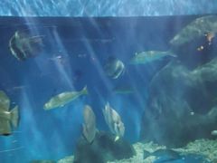 -上海长江河口科技馆