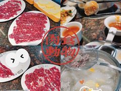 -八合里潮汕鲜牛肉火锅(深圳海岸城店)