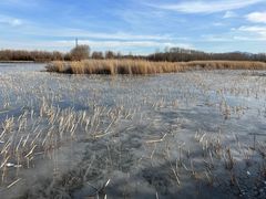 -野鸭湖国家湿地公园