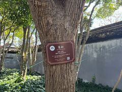-绮园景区