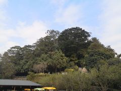 -白云山风景名胜区