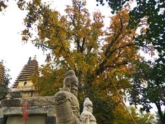 -北京石刻艺术博物馆(五塔寺)