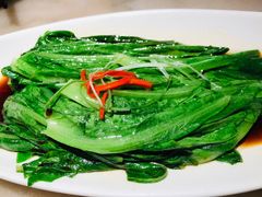 油麦菜-東大方(湖州白鹭迎店)