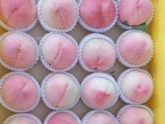 -老袁家蜜桃农场·阳山水蜜桃