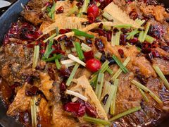 -老板恋上鱼(印象城店)